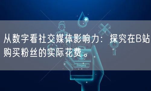 从数字看社交媒体影响力：探究在B站购买粉丝的实际花费。
