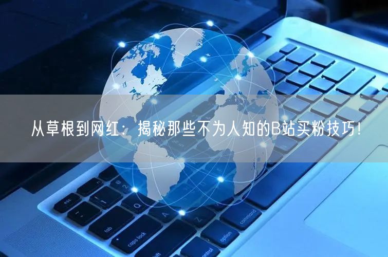从草根到网红：揭秘那些不为人知的B站买粉技巧！