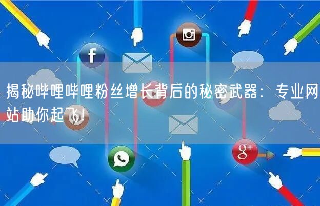 揭秘哔哩哔哩粉丝增长背后的秘密武器：专业网站助你起飞！