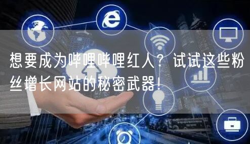 想要成为哔哩哔哩红人？试试这些粉丝增长网站的秘密武器！