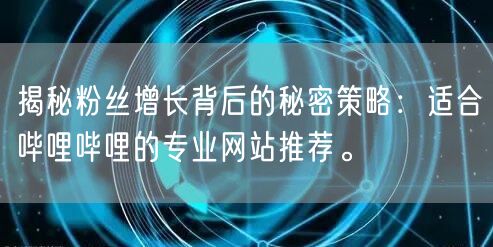 揭秘粉丝增长背后的秘密策略：适合哔哩哔哩的专业网站推荐。