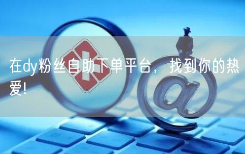 在dy粉丝自助下单平台，找到你的热爱!