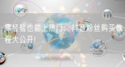 零经验也能上热门：抖音粉丝购买教程大公开!