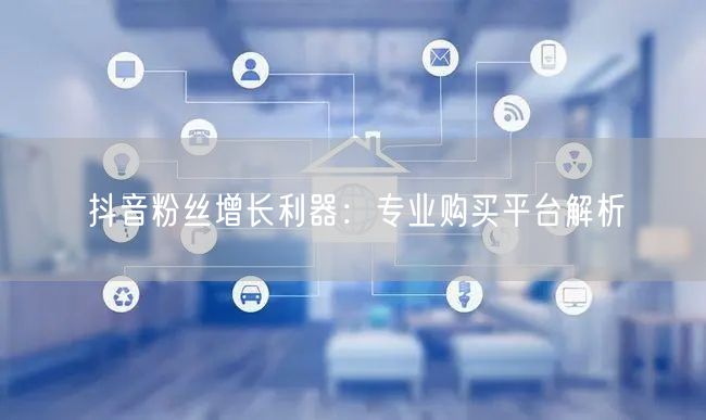抖音粉丝增长利器：专业购买平台解析