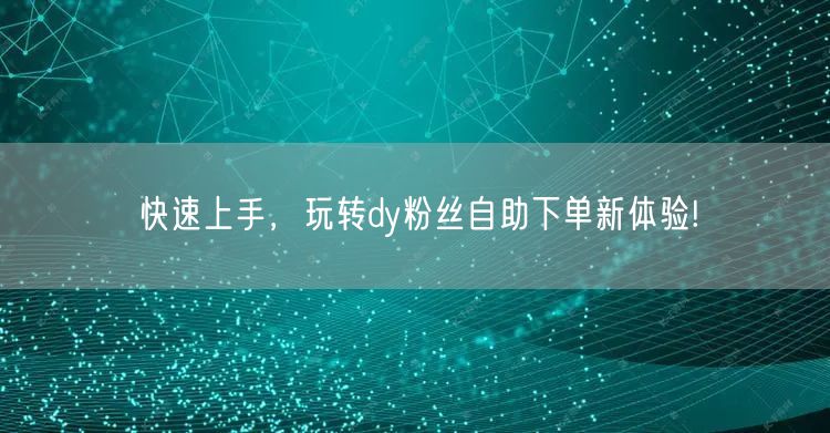 快速上手，玩转dy粉丝自助下单新体验!