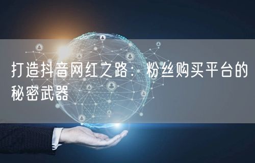 打造抖音网红之路：粉丝购买平台的秘密武器