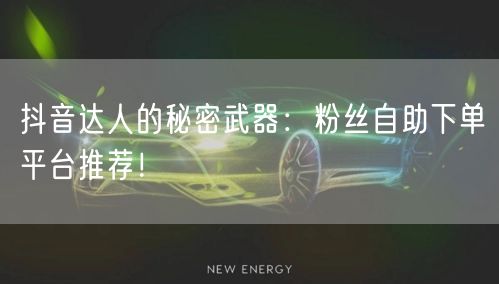 抖音达人的秘密武器：粉丝自助下单平台推荐